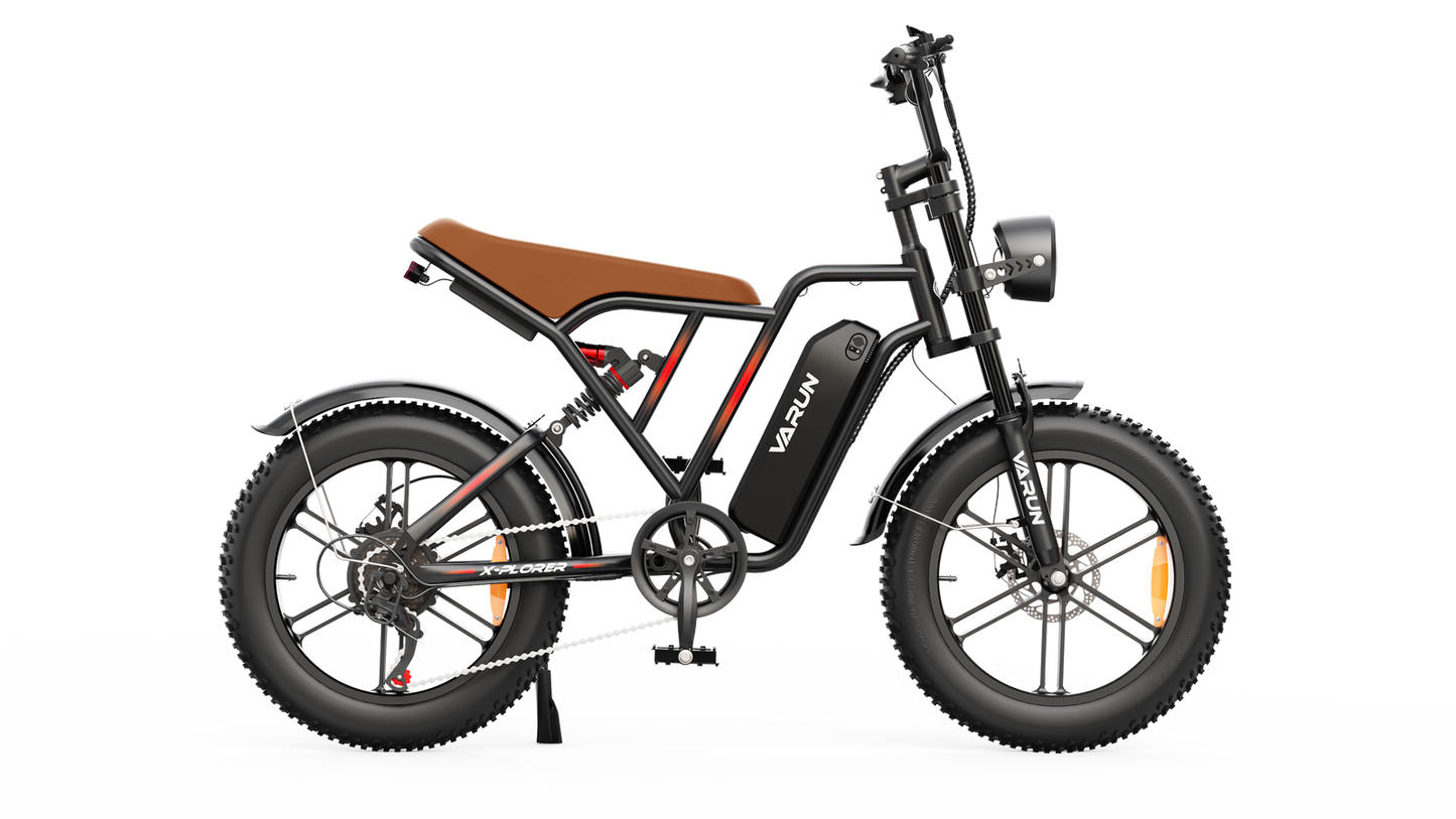 VARM2005 Electric Motorcycle Dirt Bike