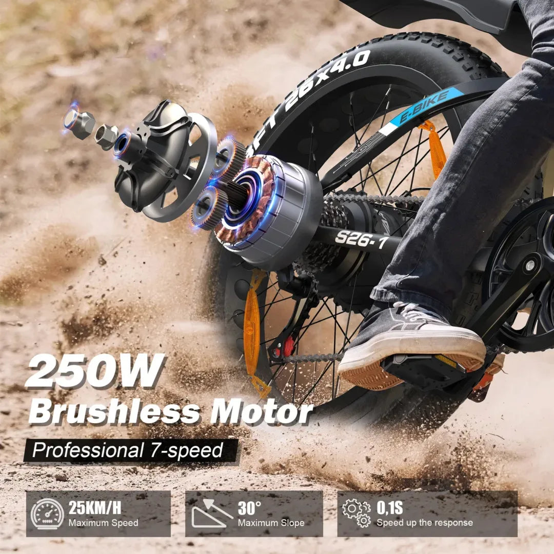 VARF2611 Mountain E-Bike