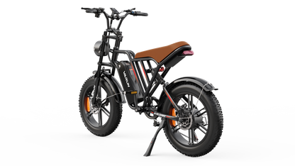 VARM2005 Electric Motorcycle Dirt Bike